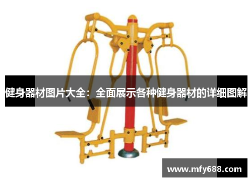 健身器材图片大全：全面展示各种健身器材的详细图解