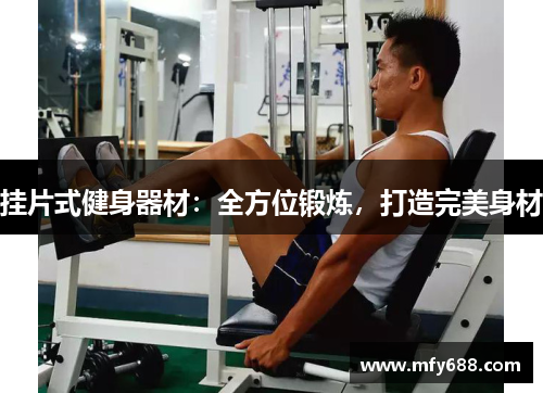 挂片式健身器材：全方位锻炼，打造完美身材