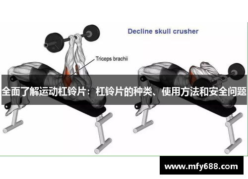 全面了解运动杠铃片：杠铃片的种类、使用方法和安全问题