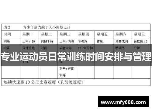 专业运动员日常训练时间安排与管理