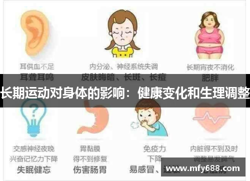 长期运动对身体的影响：健康变化和生理调整